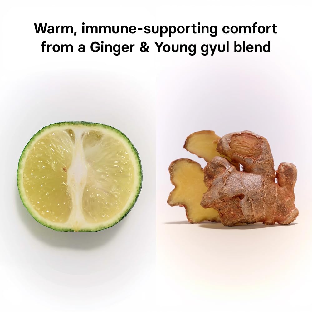 Osulloc spice-ginger jar inviting warmth for daily rituals.