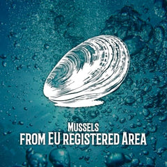 Otter Kingdom smoked mussels in olive oil ideal for pasta toppings