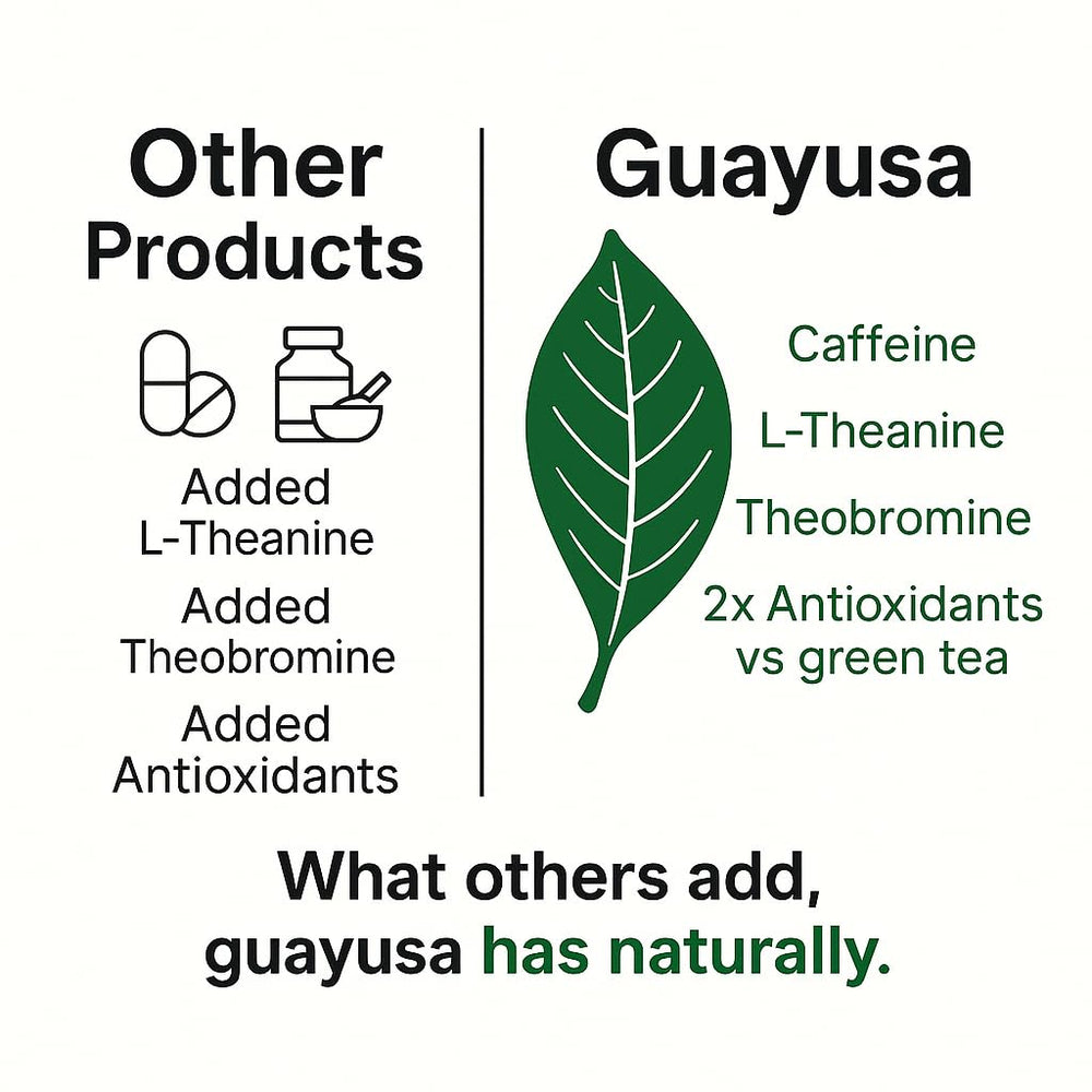 Pacha Guayusa caffeine boost without jitters for steady focus