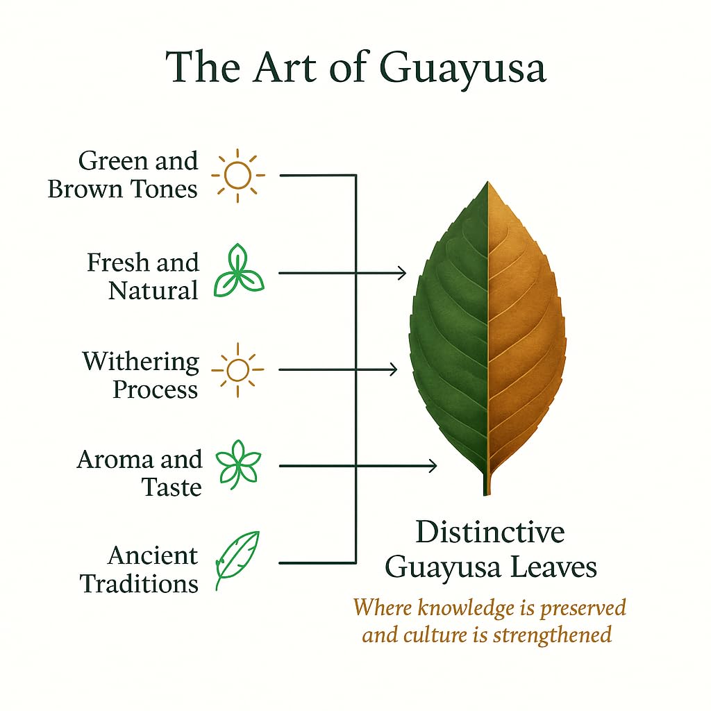 Pacha Guayusa chakra-certified tea showcasing ethical sourcing