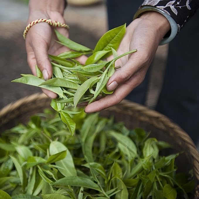 Palais des Thés fragrant-green-tea-with-rose hints for gentle sipping.
