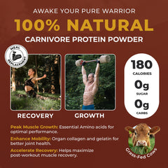 Paleo Pro Carnivore Complete ingredients shot highlights grass-fed beef collagen and egg white protein.