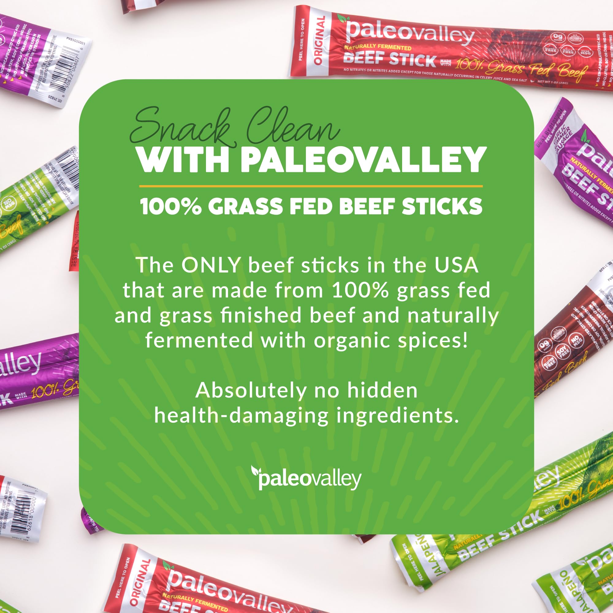 Paleovalley fermented beef sticks close-up showing probiotic-rich processing and shelf stability.