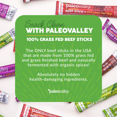 Paleovalley fermented beef sticks close-up showing probiotic-rich processing and shelf stability.