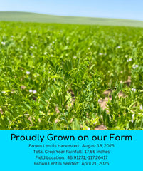 Palouse Brand brown lentils suitable for sprouting