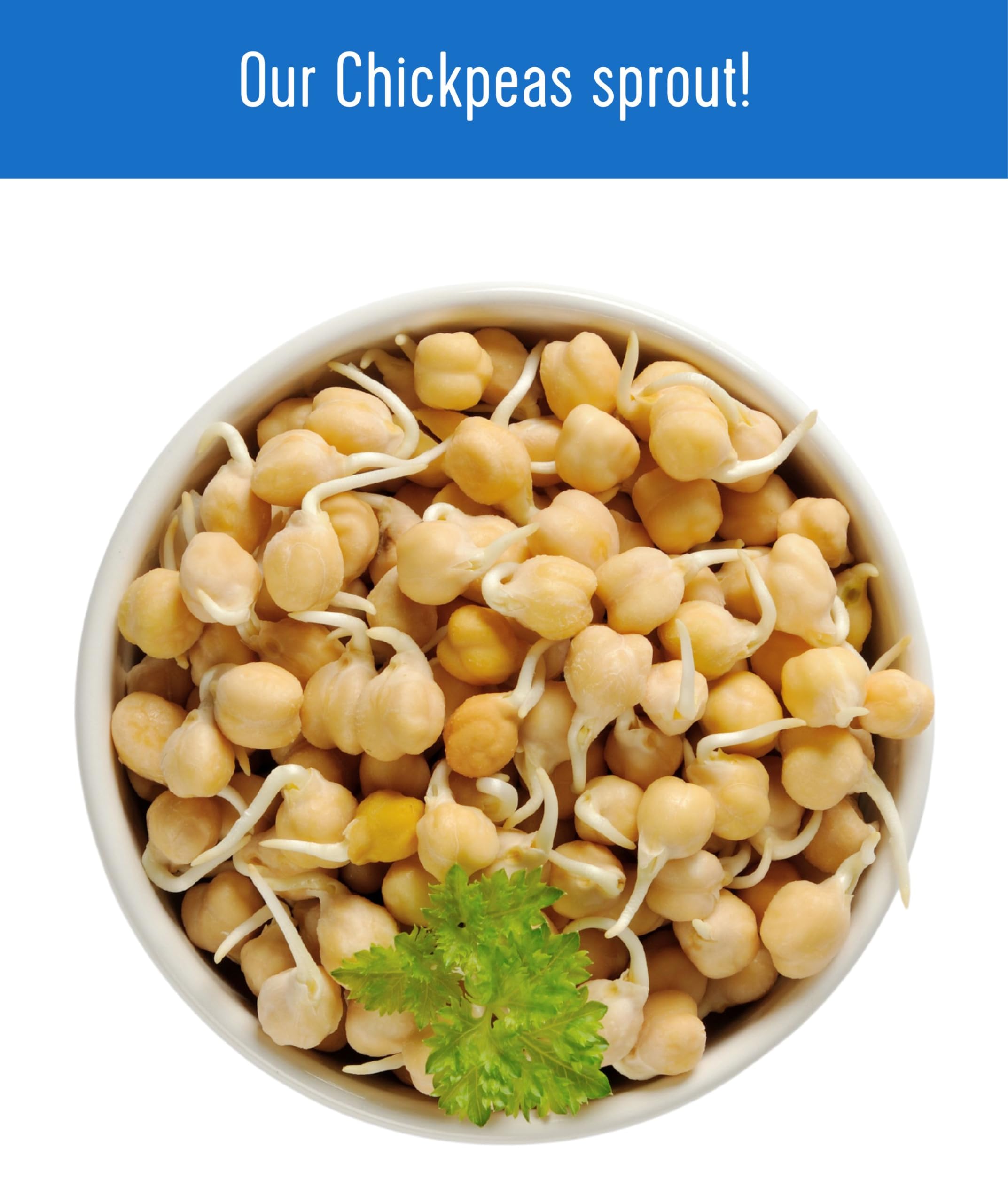 Palouse Brand cooking ideas chickpeas suggest versatile uses for meals.