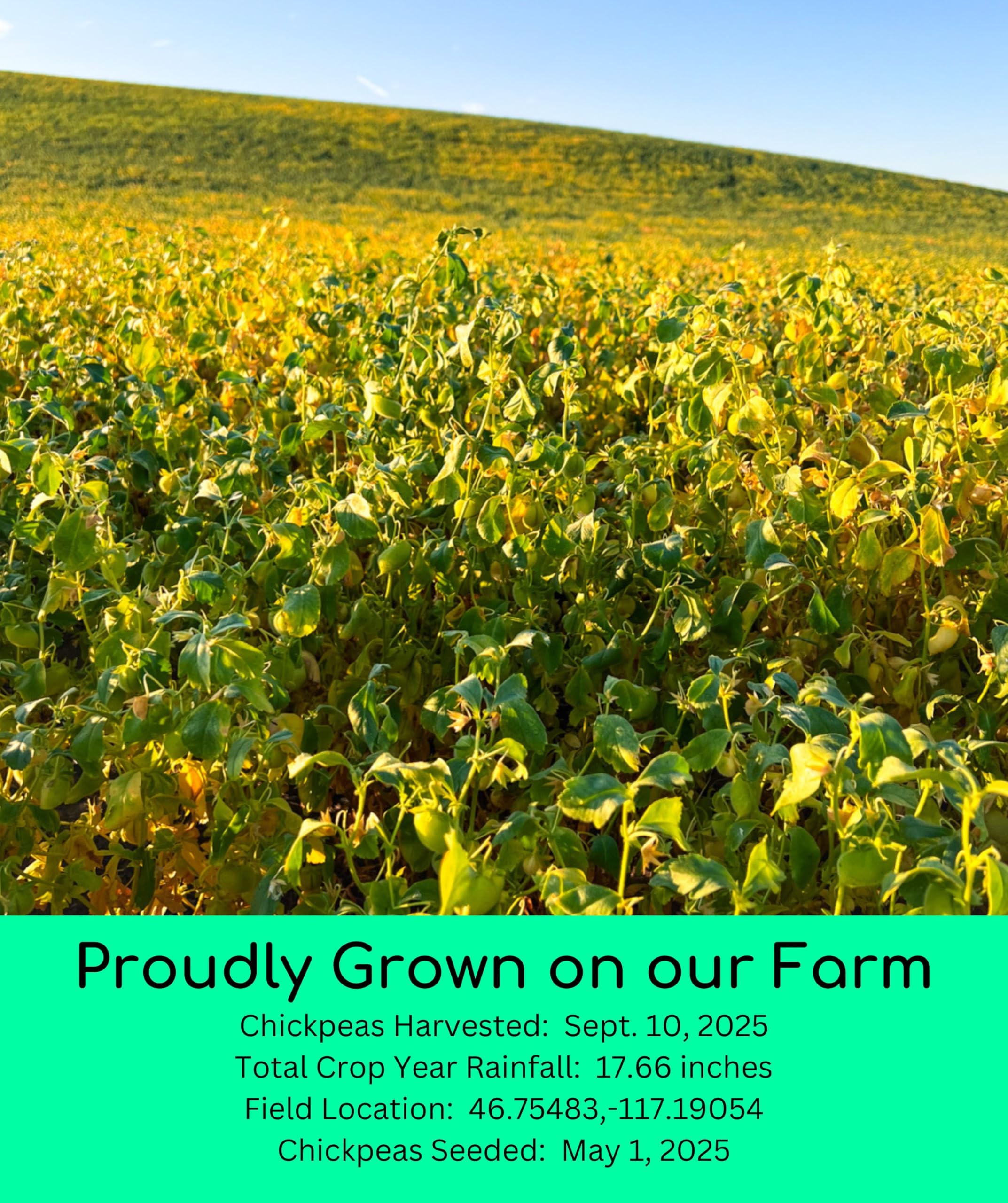 Palouse Brand glyphosate-free beans signaling clean, safe ingredients.