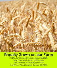 Palouse Brand non-GMO Project Verified wheat berries for mindful pantry choices