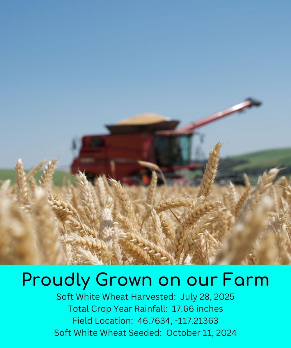 Palouse Brand glyphosate-residue-free wheat berries with Detox Project label.