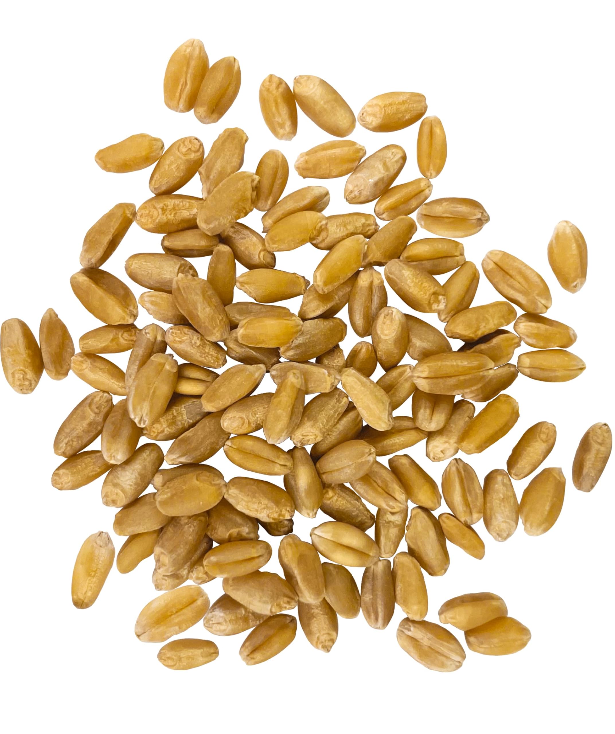 Palouse Brand wheat berries from a Washington farm bag on display.