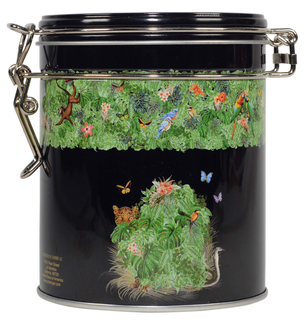 Pantenger Gyokuro aroma release during steam with fresh vegetal sweetness