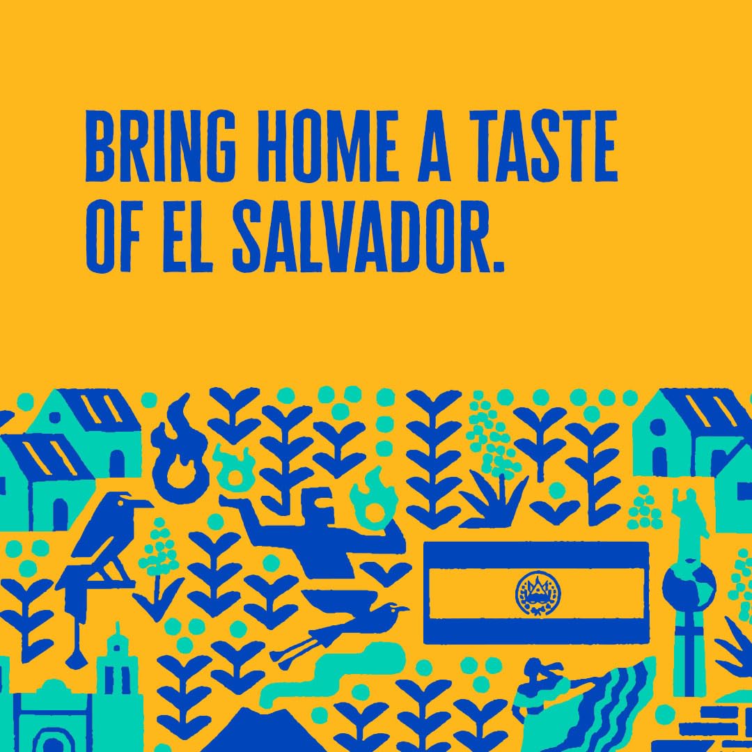 Patria El Salvador Dark Roast close-up of beans roasted for balance, ideal for pour-over.