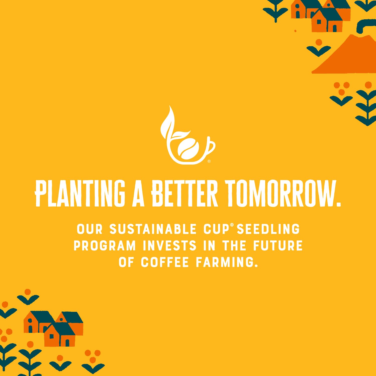 Patria Honduras steaming cup highlights aroma for a flavorful wake-up.