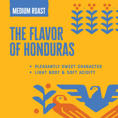 Patria Honduras whole bean close-up reveals roast profile and depth.