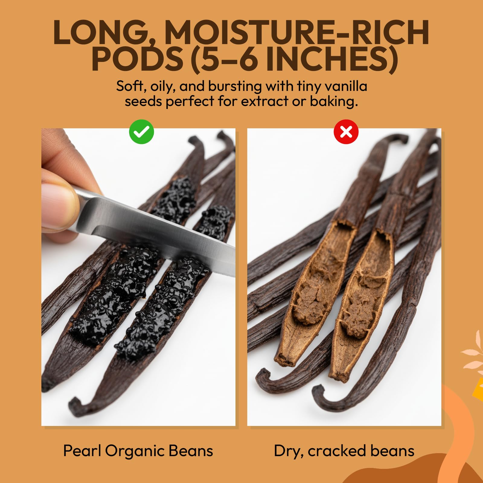 Pearl Organic Vanilla beans with 33% moisture, soft and pliable