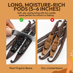 Pearl Organic Vanilla beans with 33% moisture, soft and pliable