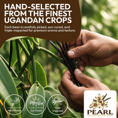 Pearl Organic Vanilla pods from Uganda, 5-6 inches long
