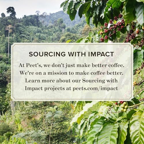 Peet's recyclable packaging signals eco-conscious pod choice.