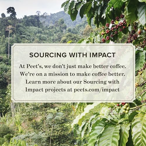 Espresso Forte notes in Peet's Ultra Coffee Concentrate with chocolate and lemon curd