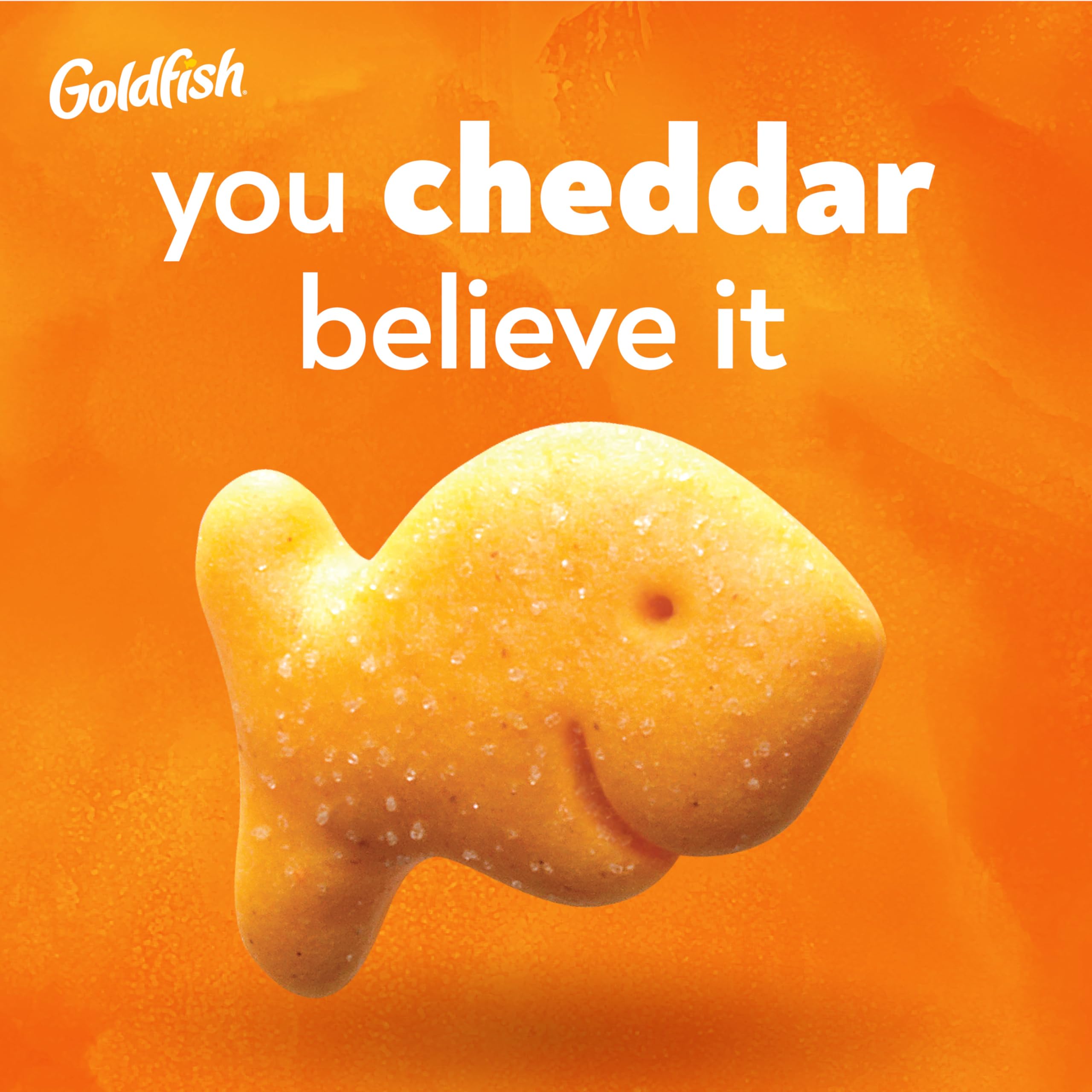 Pepperidge Farm Goldfish close-up of cracker texture highlighting crisp crunch