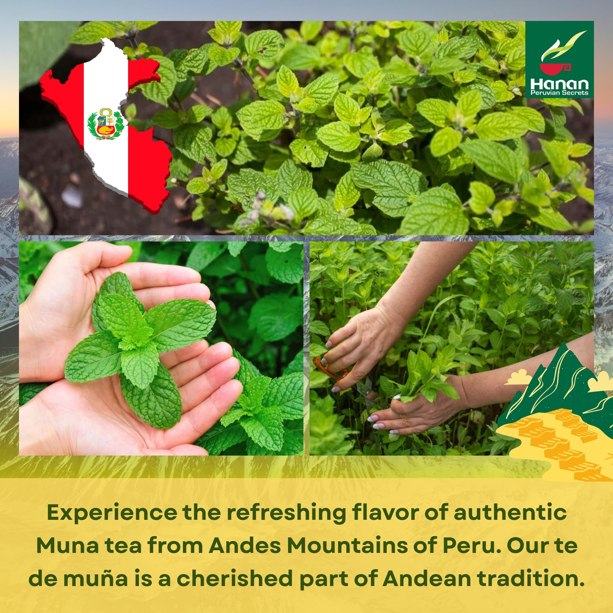 Peruvian Naturals Hanan Muna Andes harvest highlights wild muña leaves for traditional flavor.