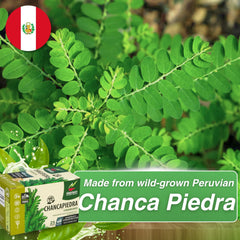 Steeping Hanan tea reveals 1000mg Stonebreaker per serving for a potent blend.