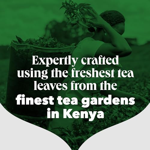PG Tips loose-leaf tea bulk 3.3lb offers cost-effective daily tea supply.