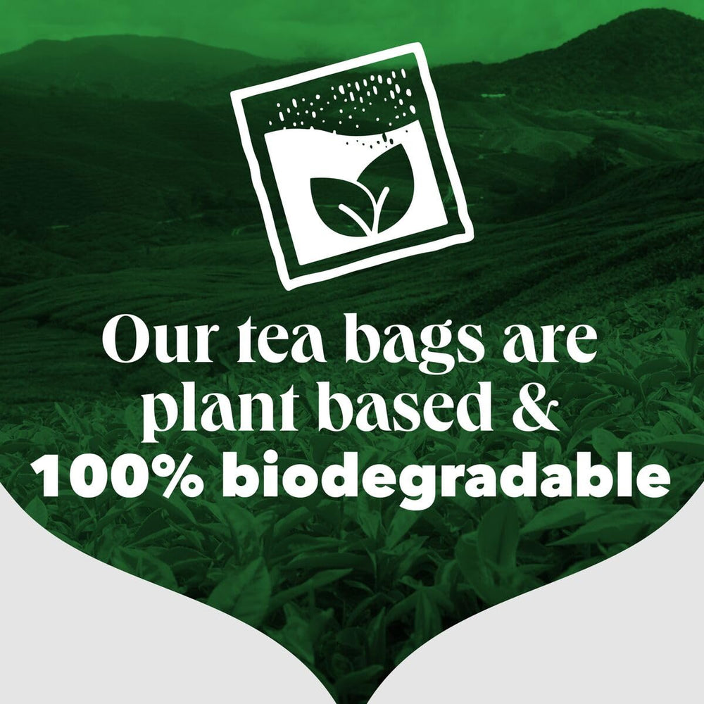 Rainforest Alliance seal indicating sustainable sourcing.