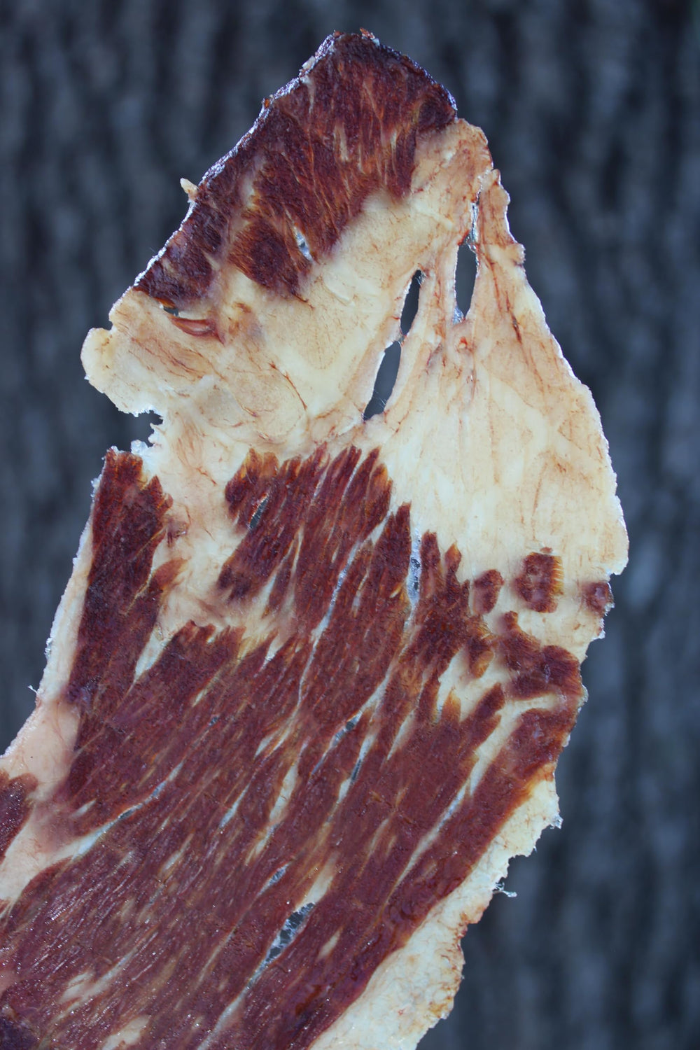 Protein-focused Phillips Beef Crisps for quick energy between meals.