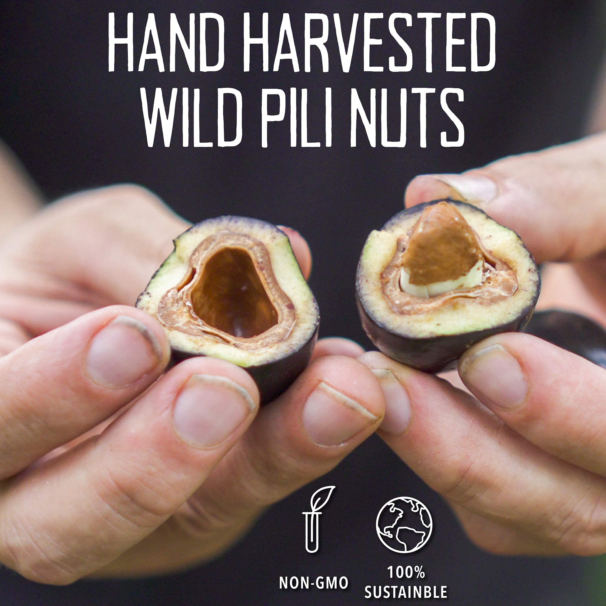 Activated sprouted Pili Hunters nuts for nutrient-rich energy