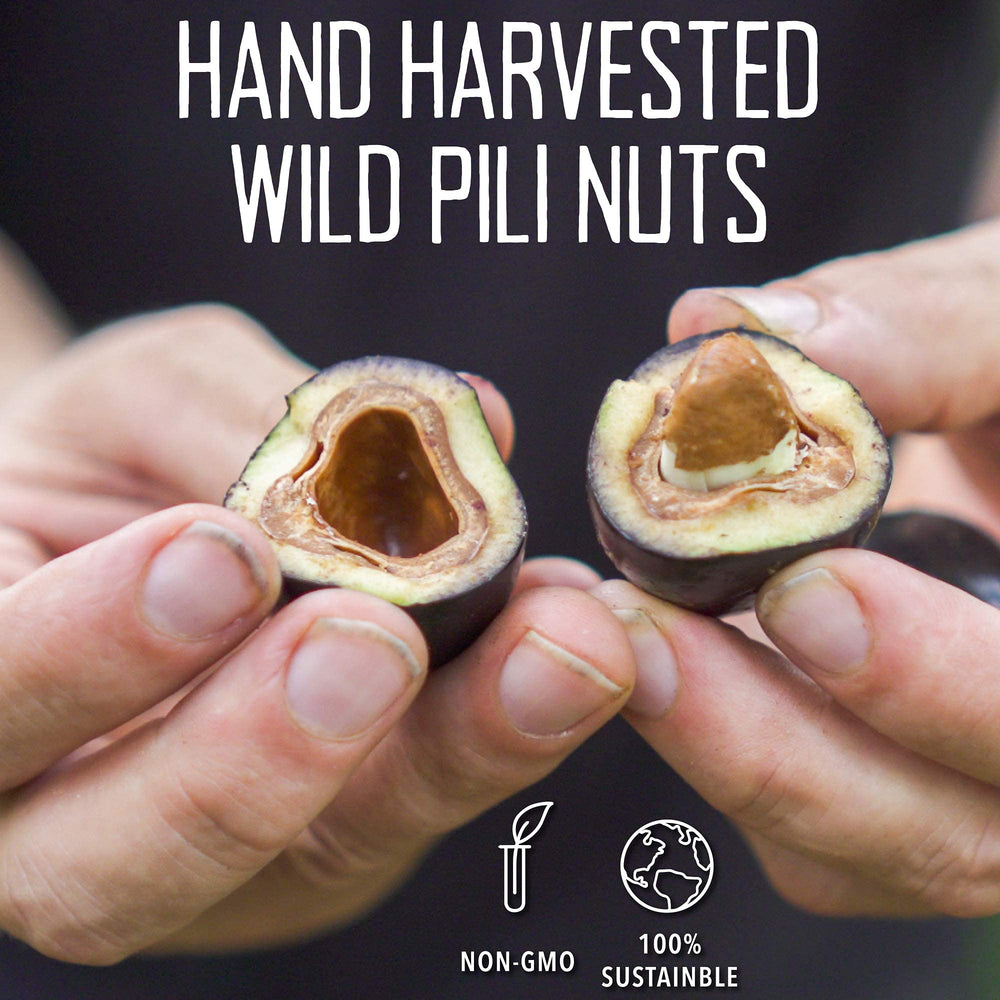 Activated sprouted Pili Hunters nuts for nutrient-rich energy