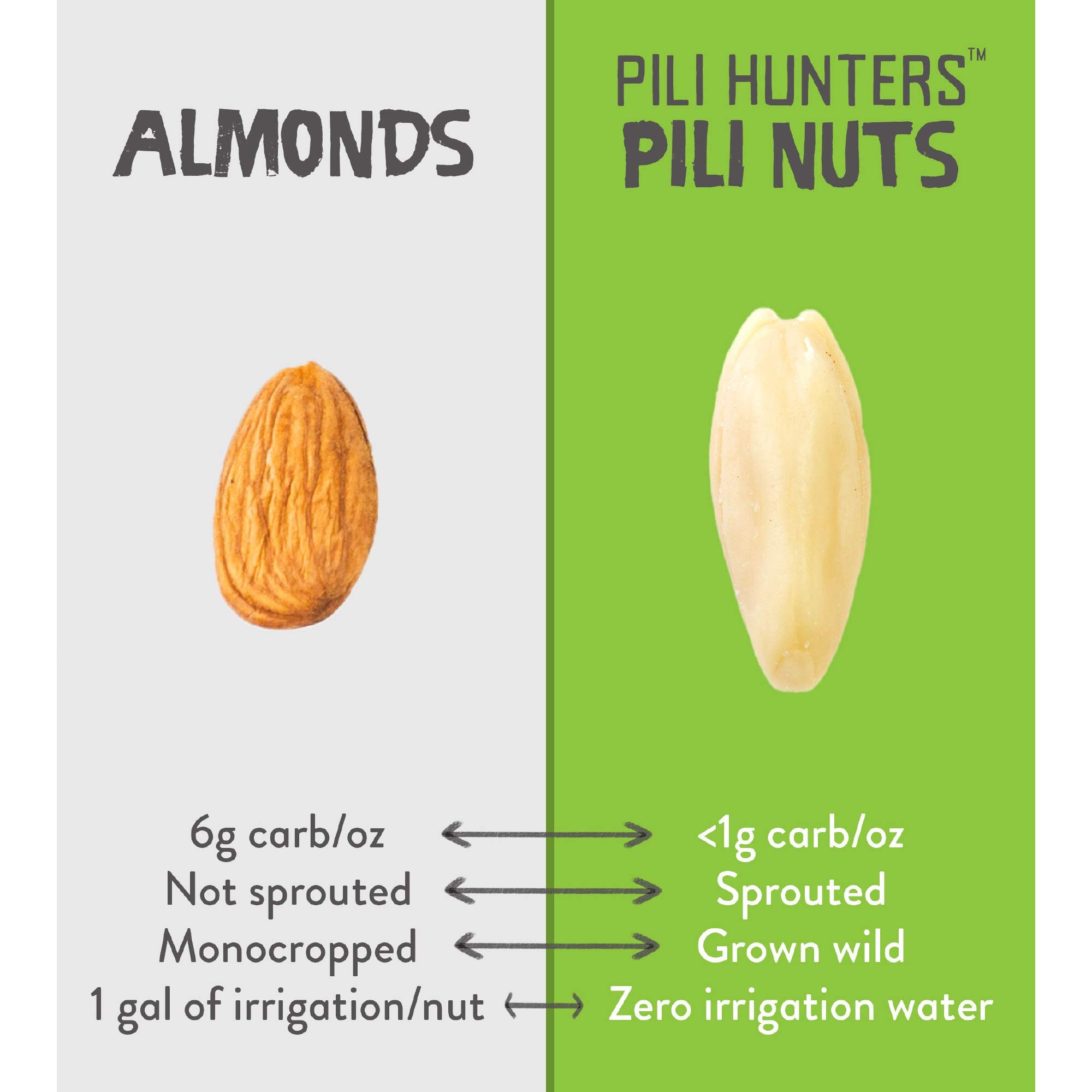Nutrient-dense Pili Hunters nuts highlighting essential minerals