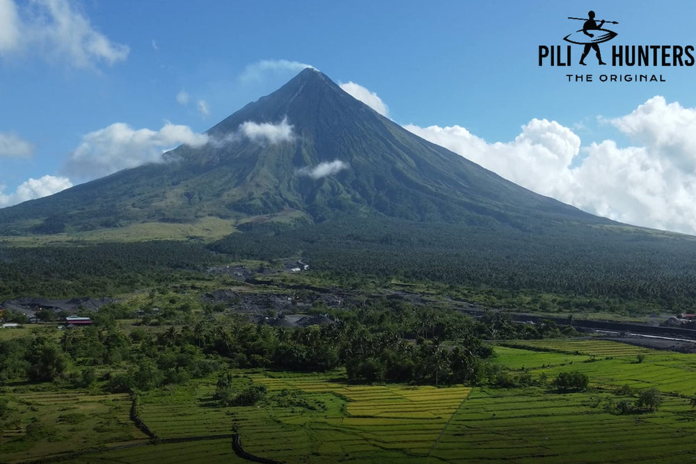 Pili Hunters premium superfood choice for vegan, paleo, keto diets.