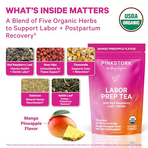 Pink Stork Brand Logo signals trusted, women-led wellness.
