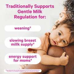 Pink Stork No Flow ingredients—sage, parsley, mint—used for lactation support.