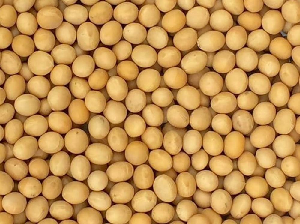 Pinstar Premium soybeans 3lb bag ideal for homemade soy milk and tofu