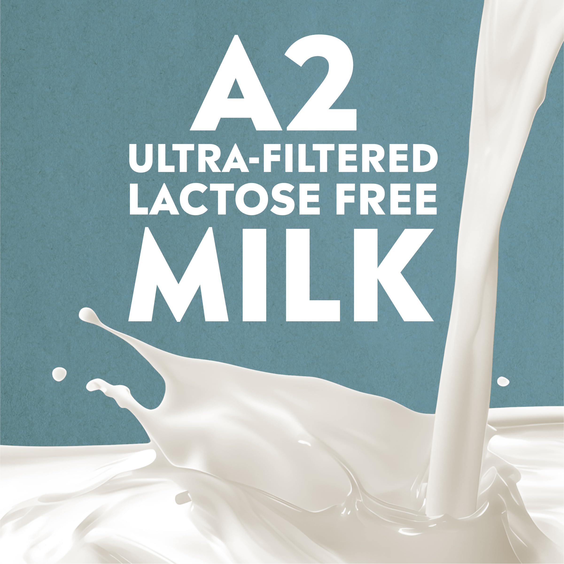 Pioneer Pastures A2 Milkshake Vanilla family-friendly serving for meals.