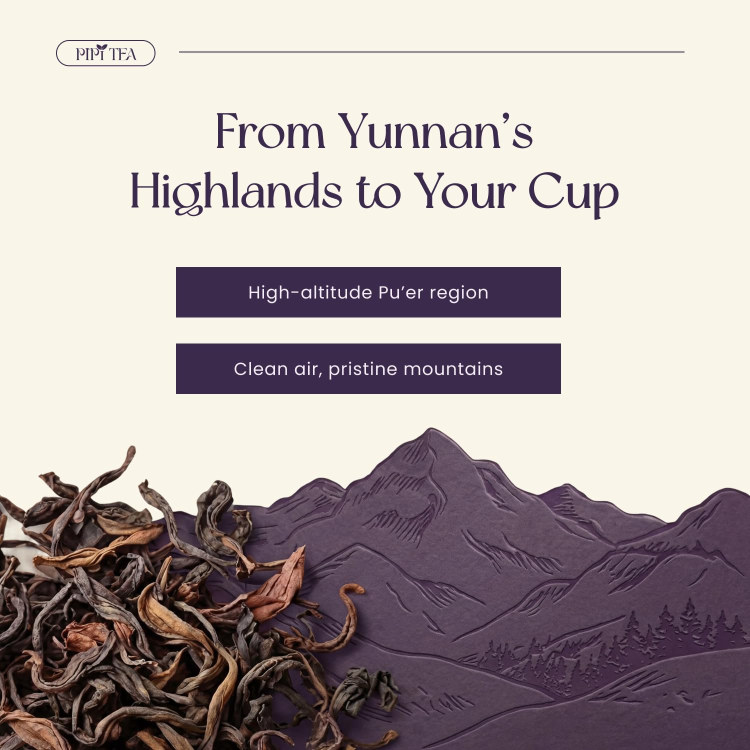 PiPi Tea Pouring ceremony demonstrates a soothing routine for mindful moments