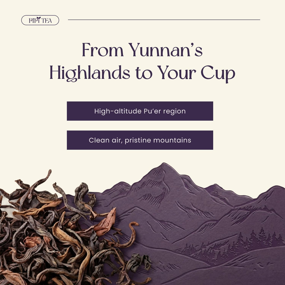 PiPi Tea Pouring ceremony demonstrates a soothing routine for mindful moments