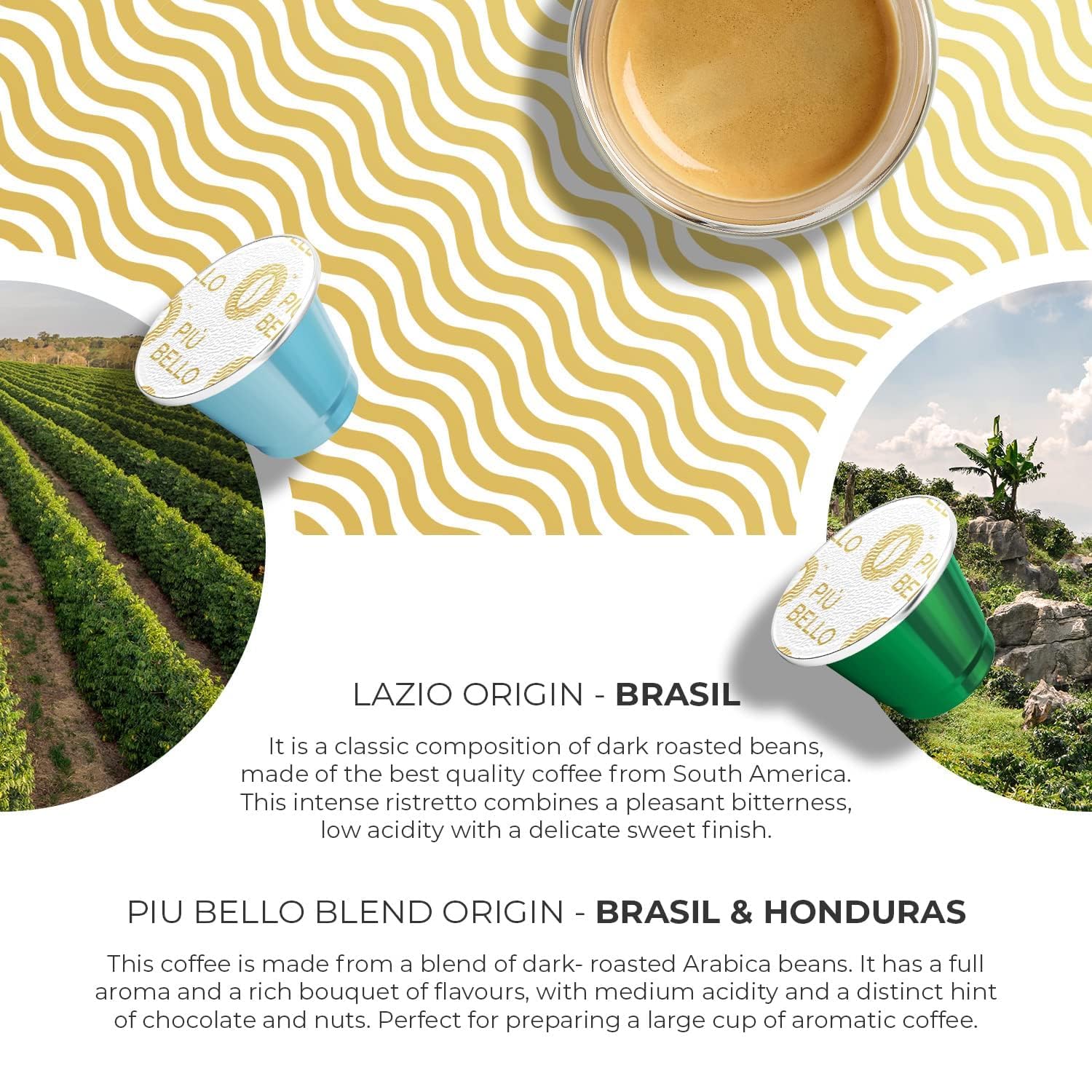 Piu Bello Lazio flavor pod features balanced taste and inviting aroma.