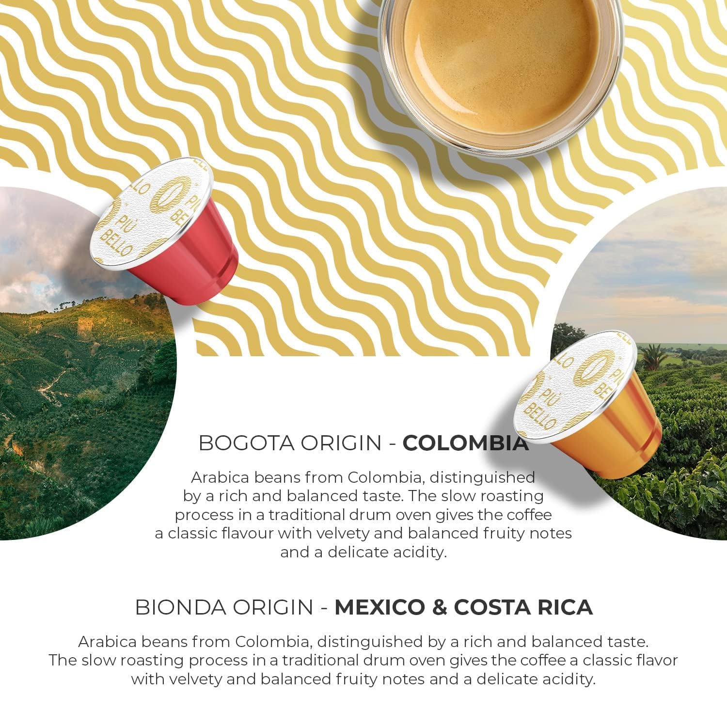 Piu Bello Roga flavor pod—bold roast in a compact single-serve.