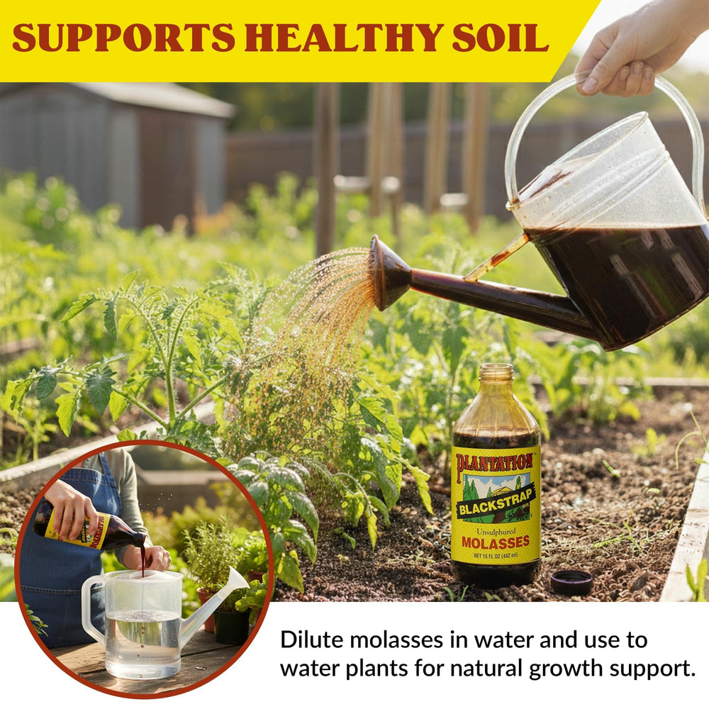 Plantation Blackstrap Molasses diluted for garden soil enrichment.