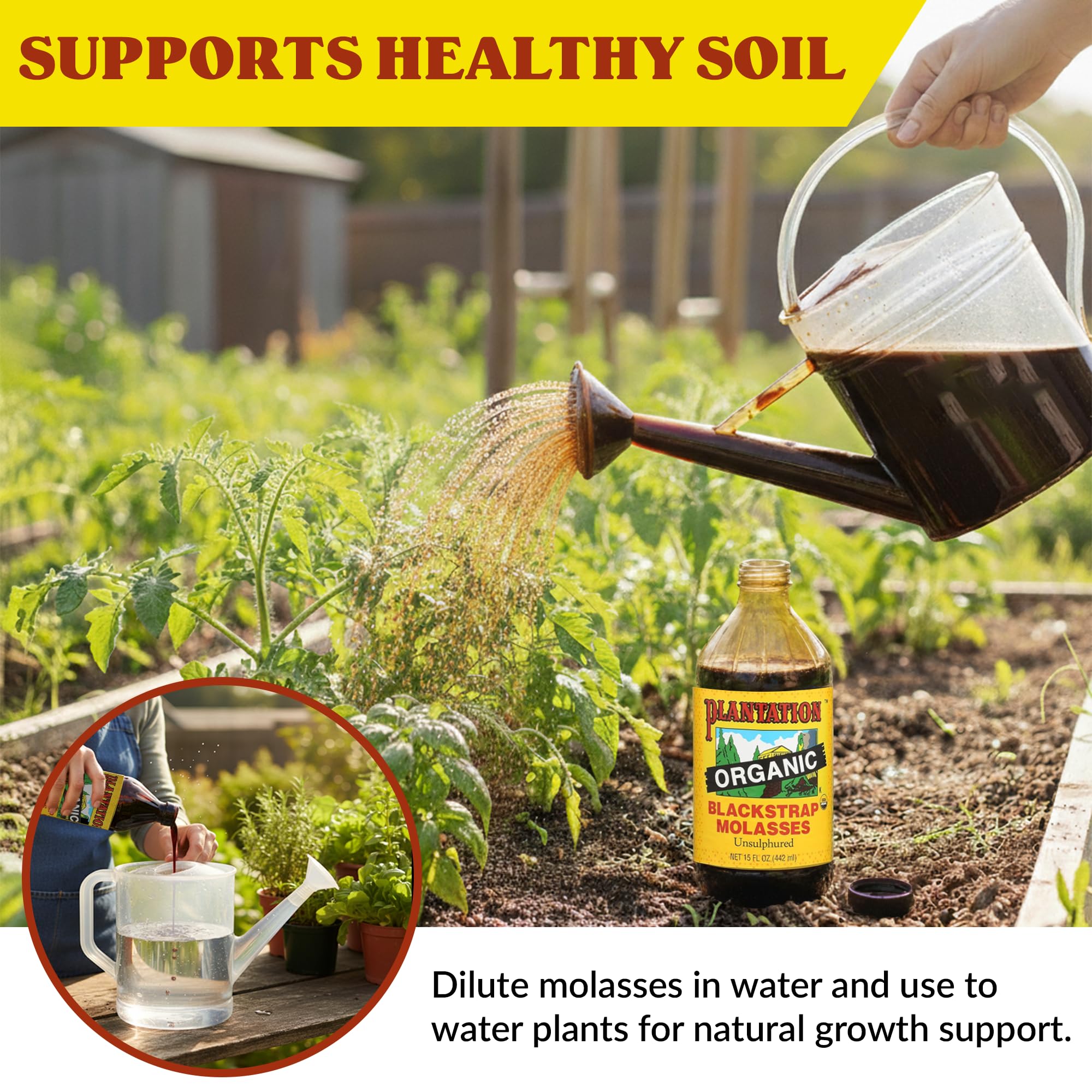 Garden use: molasses diluted in water suggests soil health application