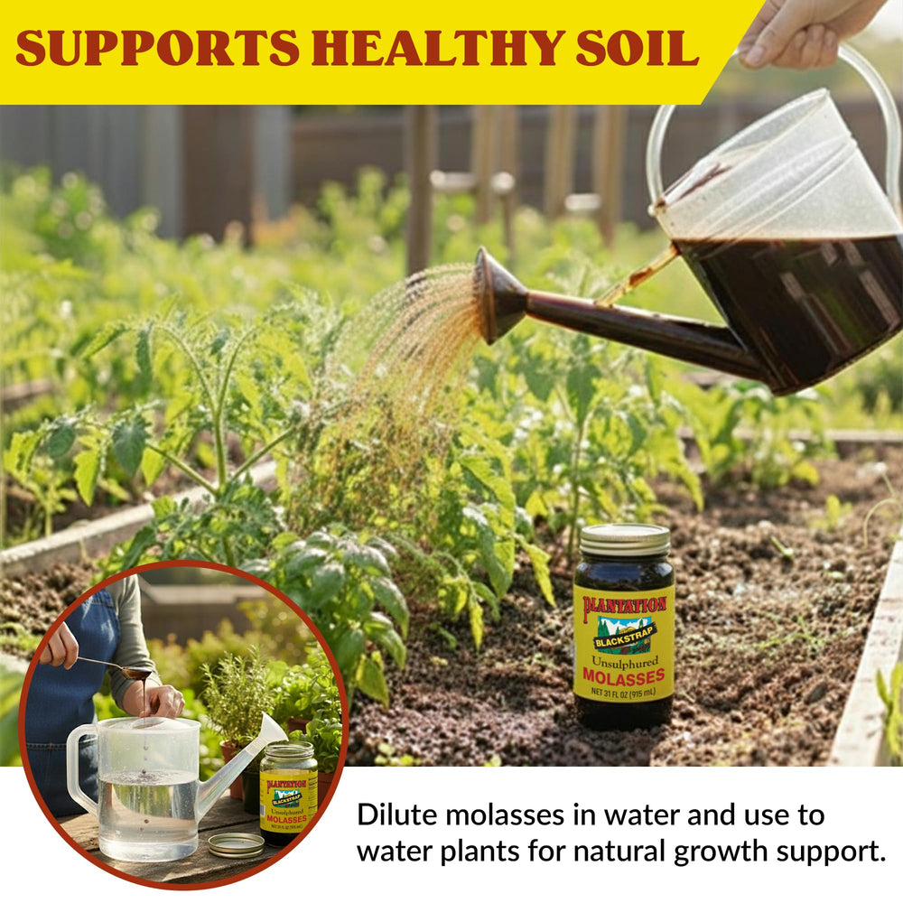 Plantation Organic Blackstrap Molasses drizzle, ideal for glazes and marinades.