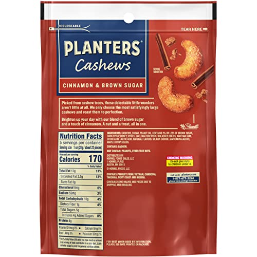 PLANTERS cashews cinnamon and brown sugar 1oz serving closeup highlights protein on the go