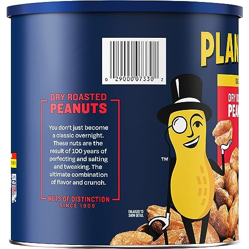 Planters Salted Dry Roasted Peanuts snack pile displaying premium peanuts ready to enjoy.
