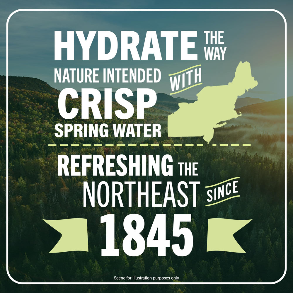 Poland Spring water shows naturally occurring minerals for balanced flavor.