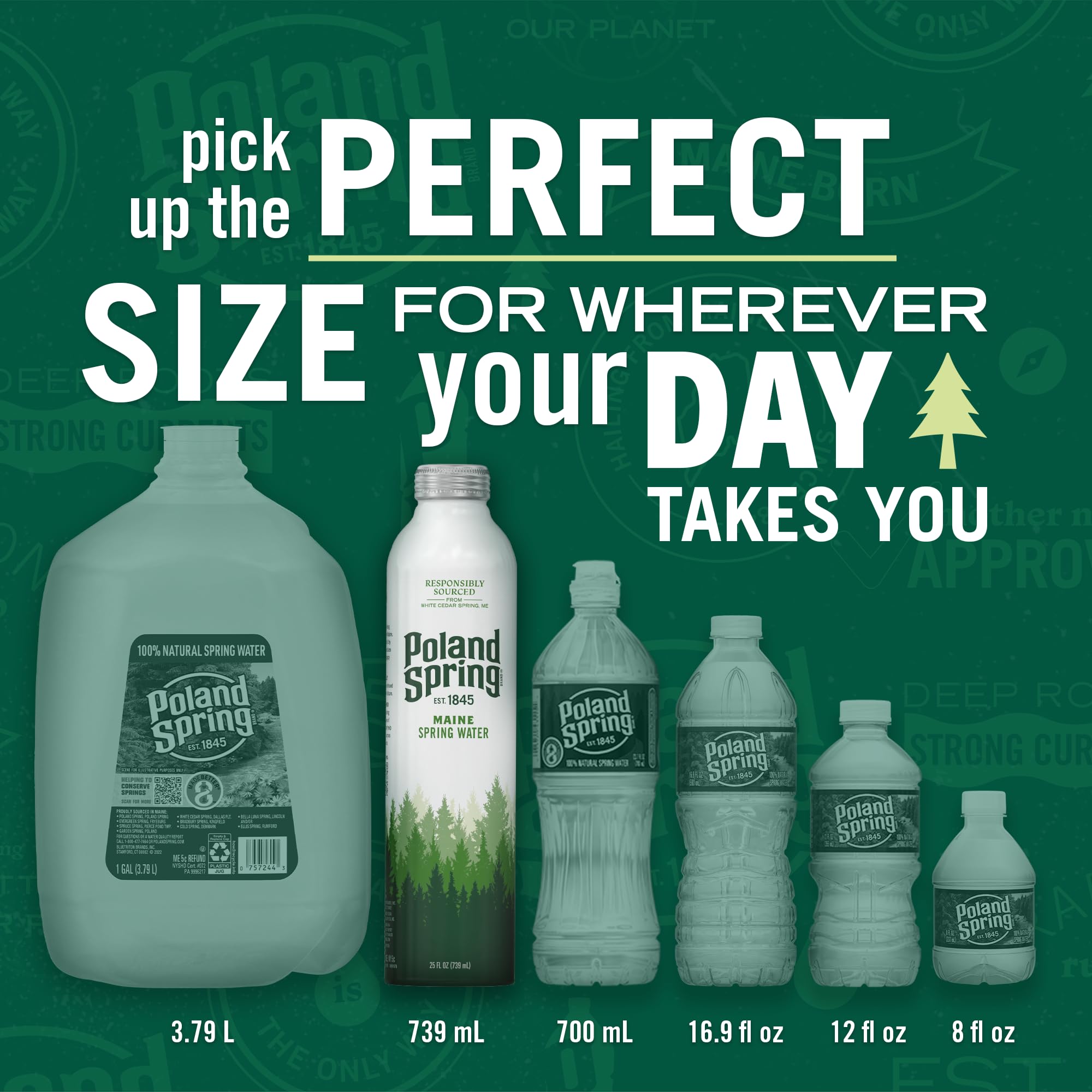 Poland Spring recyclable aluminum bottle supports sustainability with Maine origins.