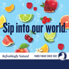 POLAR Seltzer Georgia Peach label closeup shows natural fruit essences for depth.