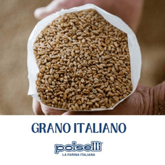 POLSELLI Italian type 00 flour with extra-fine texture